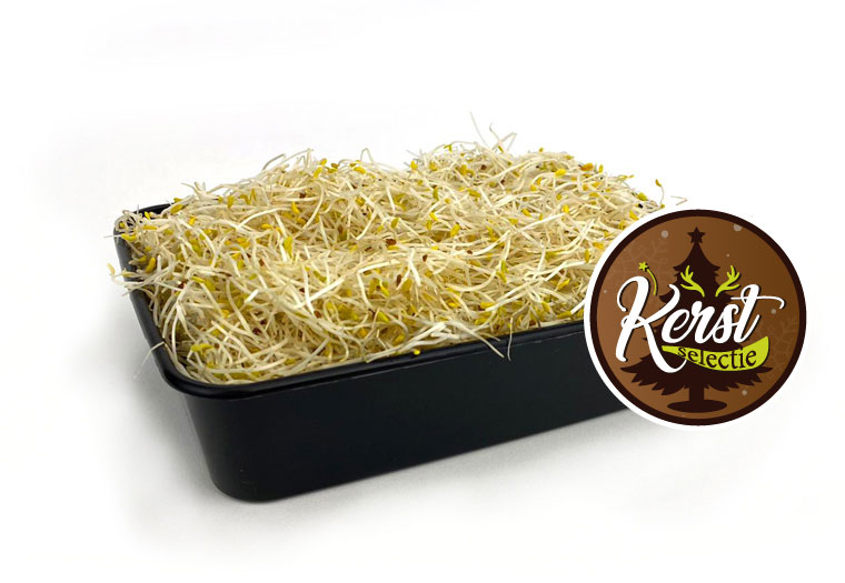 Koop Alfalfa Online - Vandaag besteld, Vandaag in huis