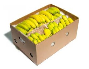 Koop een hele Doos Bananen bij de Fruitspecialist