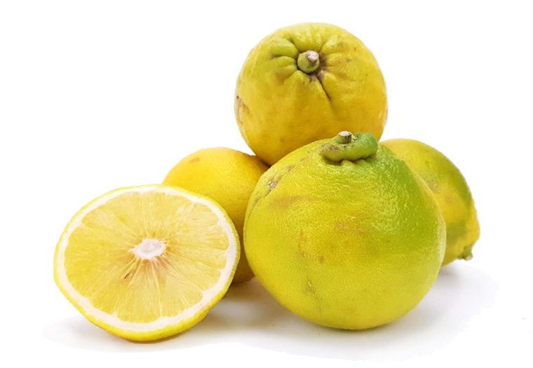 Koop Nu Bergamot Online Bij De Specialist in Citrus