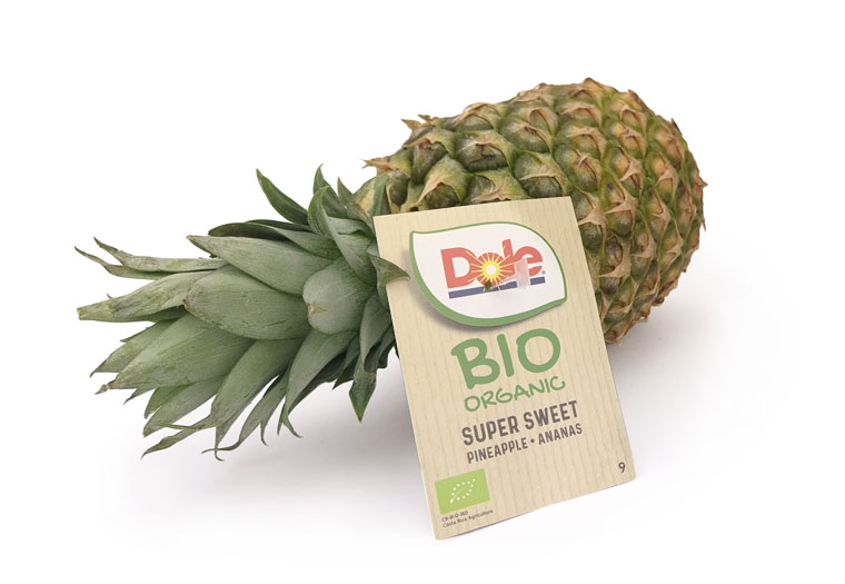 Biologische Ananas Online Kopen bij de Fruitspecialist