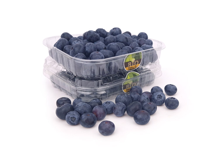 Biologische Blauwe Bessen Online bij de Fruitspecialist