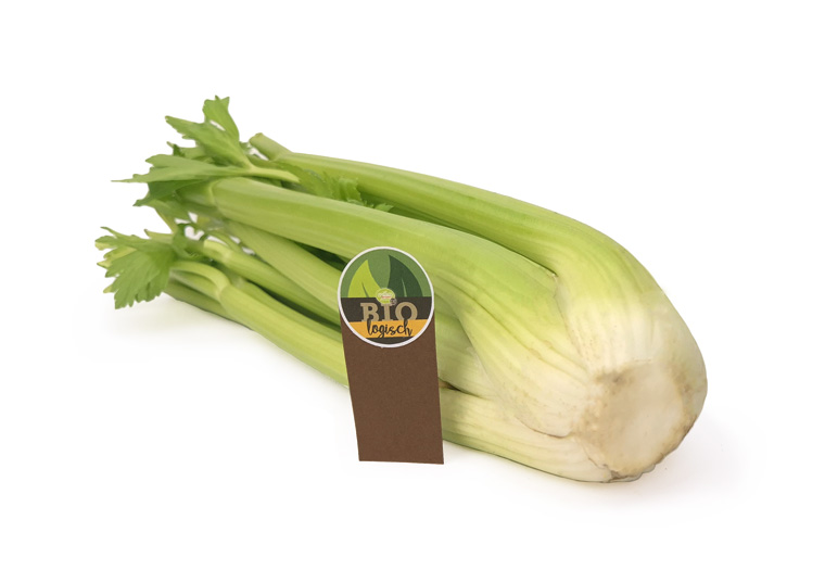 Biologische Bleekselderij Online bij de Groentespecialist