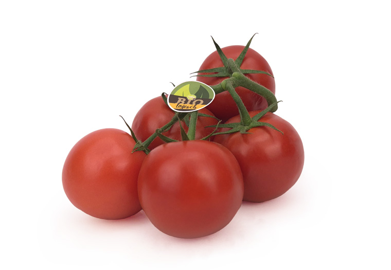 Biologische Tomaten Online Kopen bij de Groentespecialist