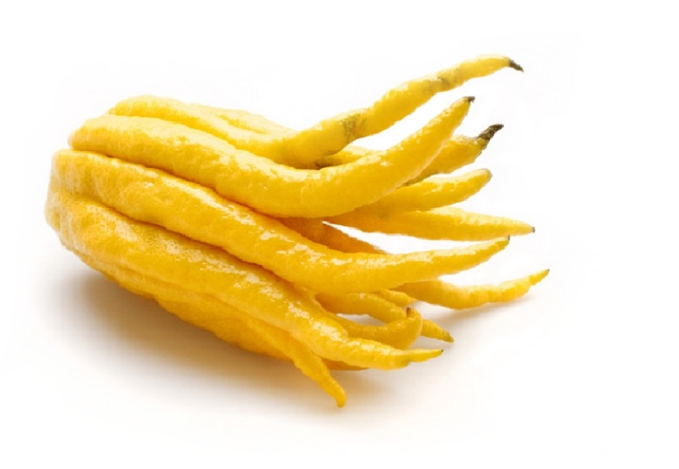 Buddha's Finger Online Kopen bij de Fruitspecialist