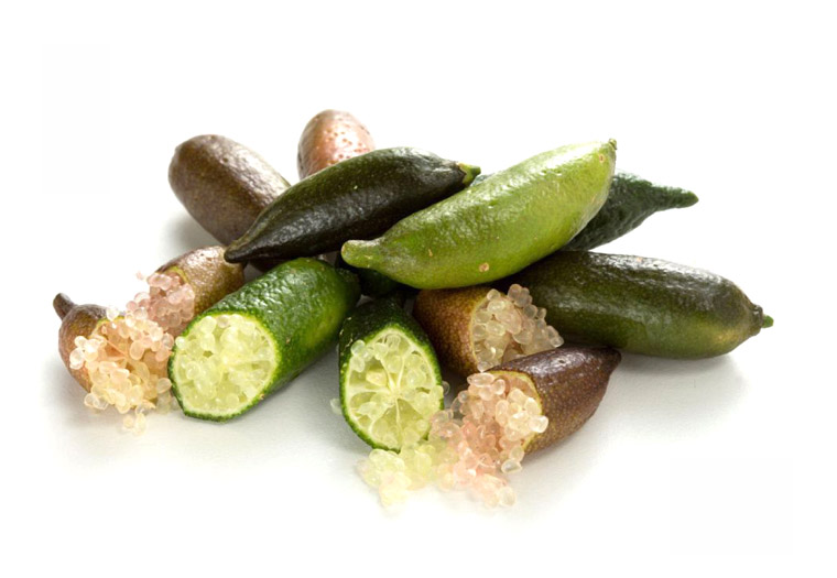 Koop frisse Finger Limes - Kaviaarlimoen Online Kopen