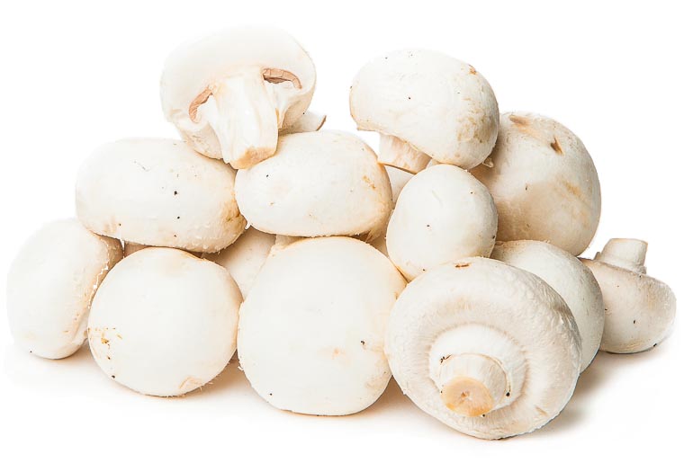 Koop Grote Champignons Online. Vandaag Bestellen = Vandaag in Huis