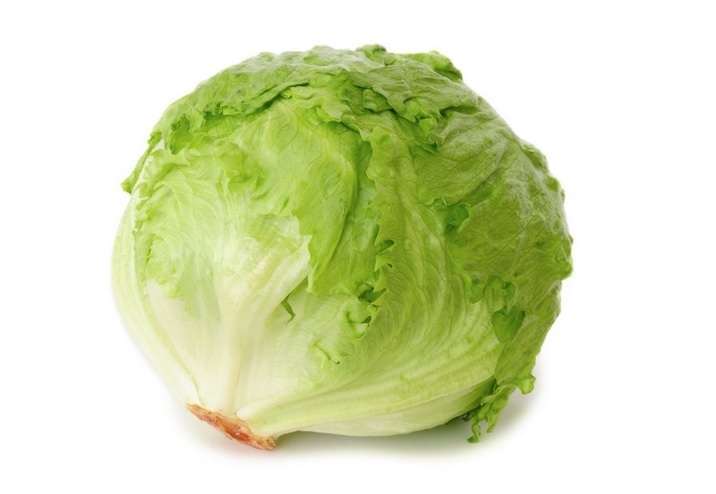 Online Ijsbergsla Kopen bij Groentebroer.be