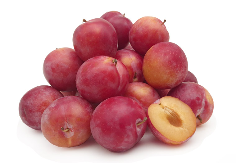 Laetitia Pruimen Online Kopen bij de Fruitspecialist
