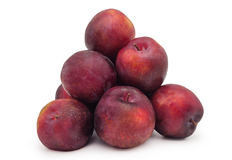 Oxy Solar Pruimen Online Kopen bij de Fruitspecialist