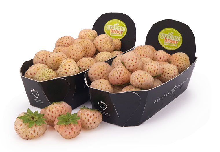 Pineberries Online Kopen bij de Fruitspecialist