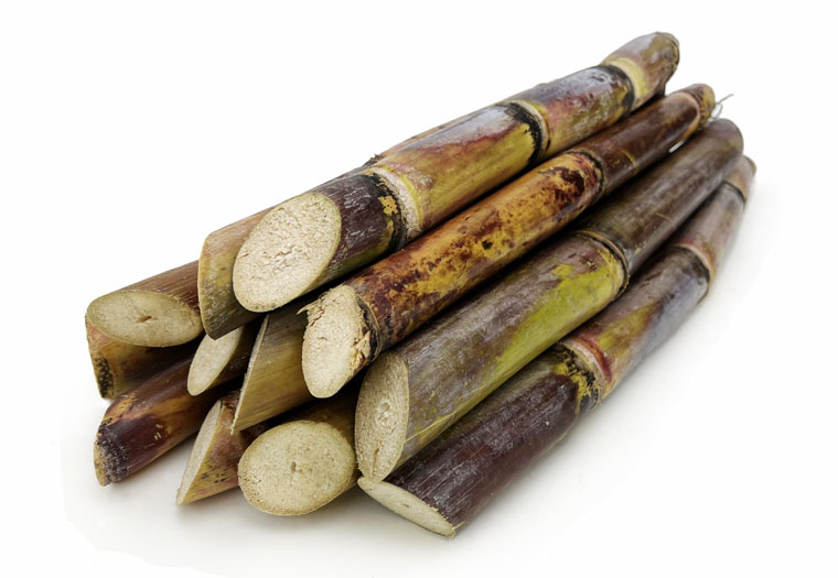 Sugar Cane (suikerriet) online kopen bij de Fruitspecialist