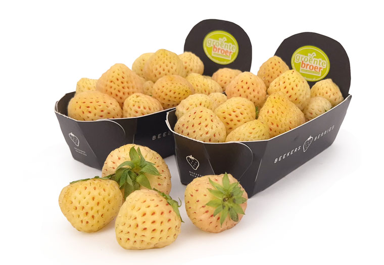 Yellowberries Online Kopen bij de Fruitspecialist