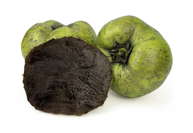 Zwarte Zapote Online Kopen bij de Fruitspecialist